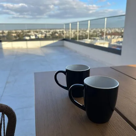 Lux Level 4 Penthouse Tower 206 Apartment